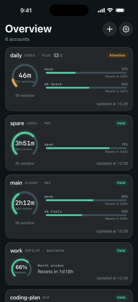 TokenWise on iPhone, showing account quota cards and reset countdowns